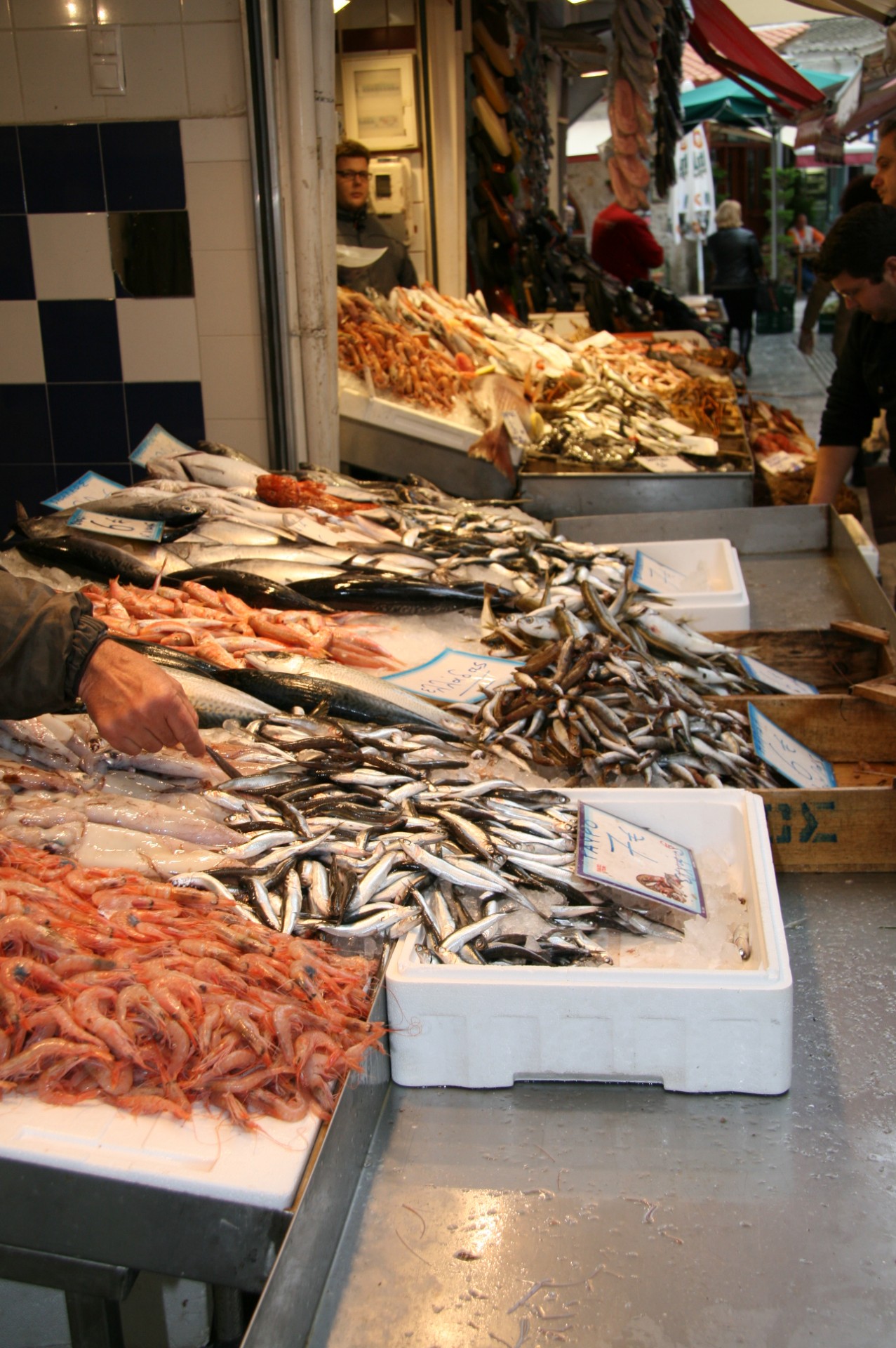 Graikija,  Žuvis,  Turgus,  Graikijos Žuvies Rinka, Nemokamos Nuotraukos,  Nemokama Licenzija