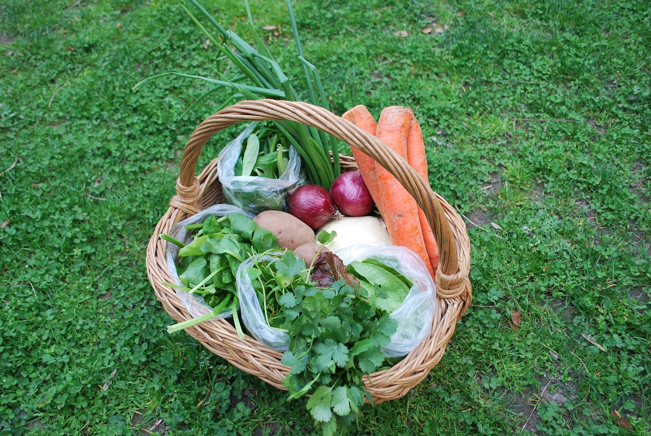 Žalias, Morkos, Maistas, Daržovių, Sveikas, Mityba, Šviežias, Vegetariškas, Mityba, Ekologiškas