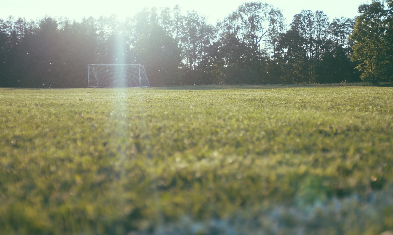 Žalias, Futbolas, Laukas, Saulėtekis, Saulės Šviesa, Rytas, Saulės Šviesa, Medžiai, Nemokamos Nuotraukos,  Nemokama Licenzija