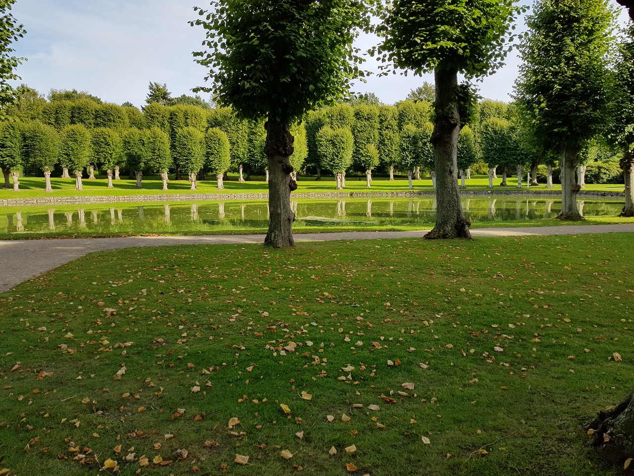 Žalias, Frederiksborg, Hillerød, Nemokamos Nuotraukos,  Nemokama Licenzija