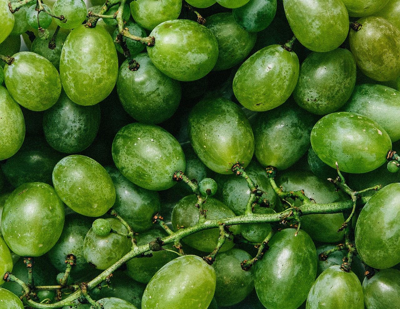 Žalias, Vynuogės, Vaisiai, Maistas, Sveikas, Nemokamos Nuotraukos,  Nemokama Licenzija