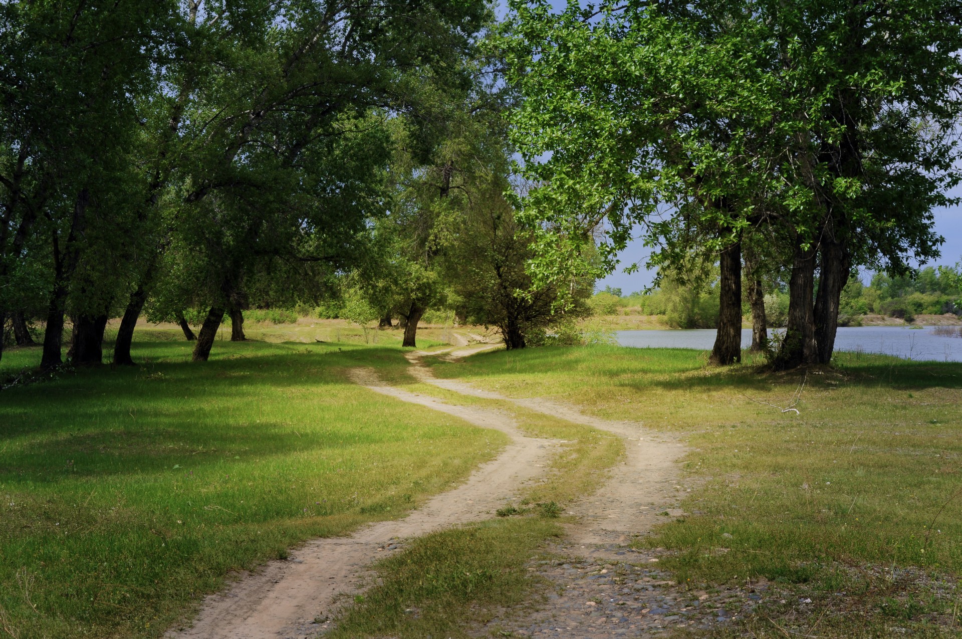 Pavasaris,  Miškas,  Medžiai,  Kelias,  Kaimas,  Kraštovaizdis,  Gamta,  Žalias,  Šviesus,  Žolė