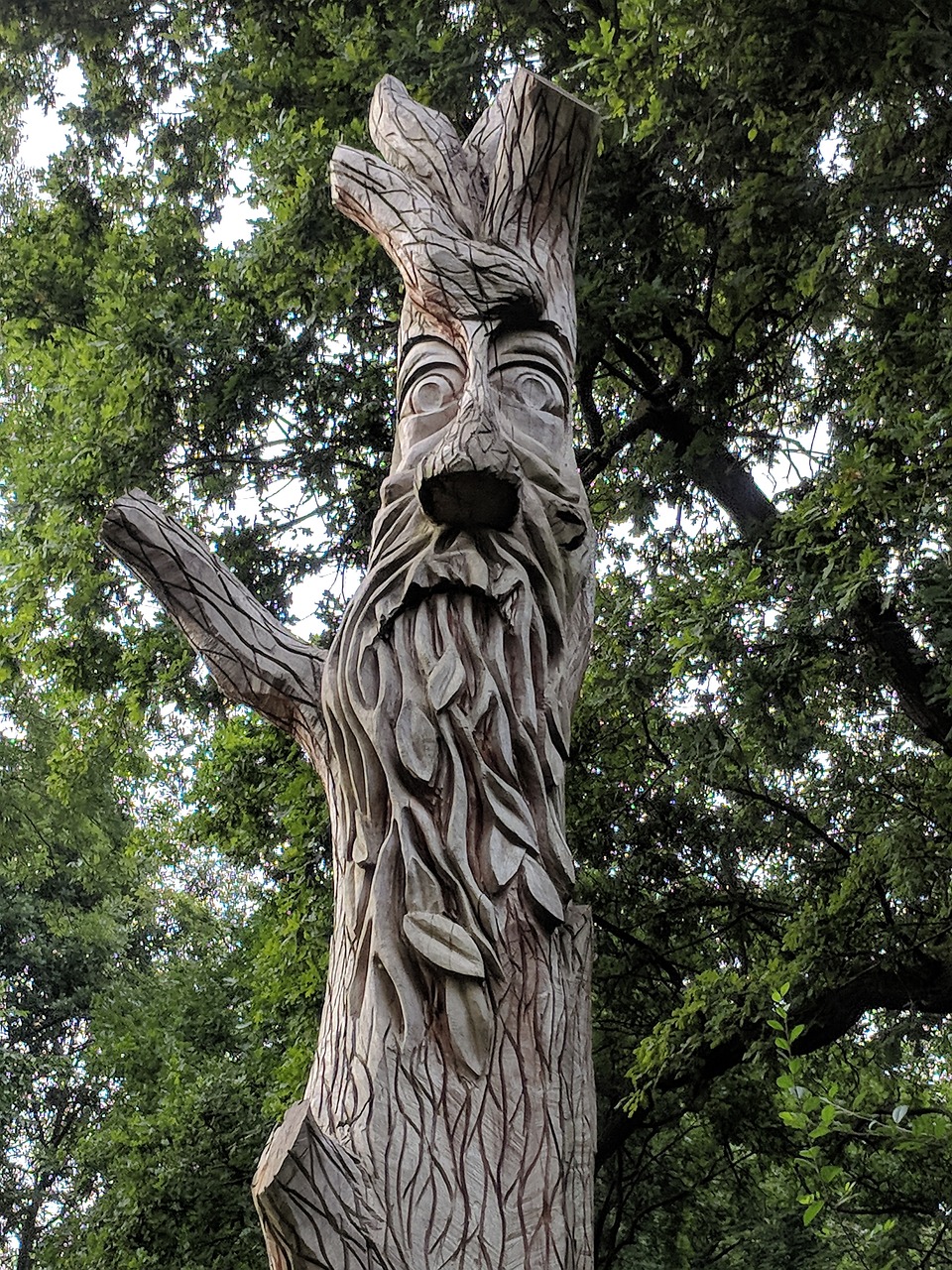 Green Man,  Medis,  Veidas,  Vyras,  Pobūdį,  Lauko,  Miškas,  Lapai,  Drožyba,  Skulptūra