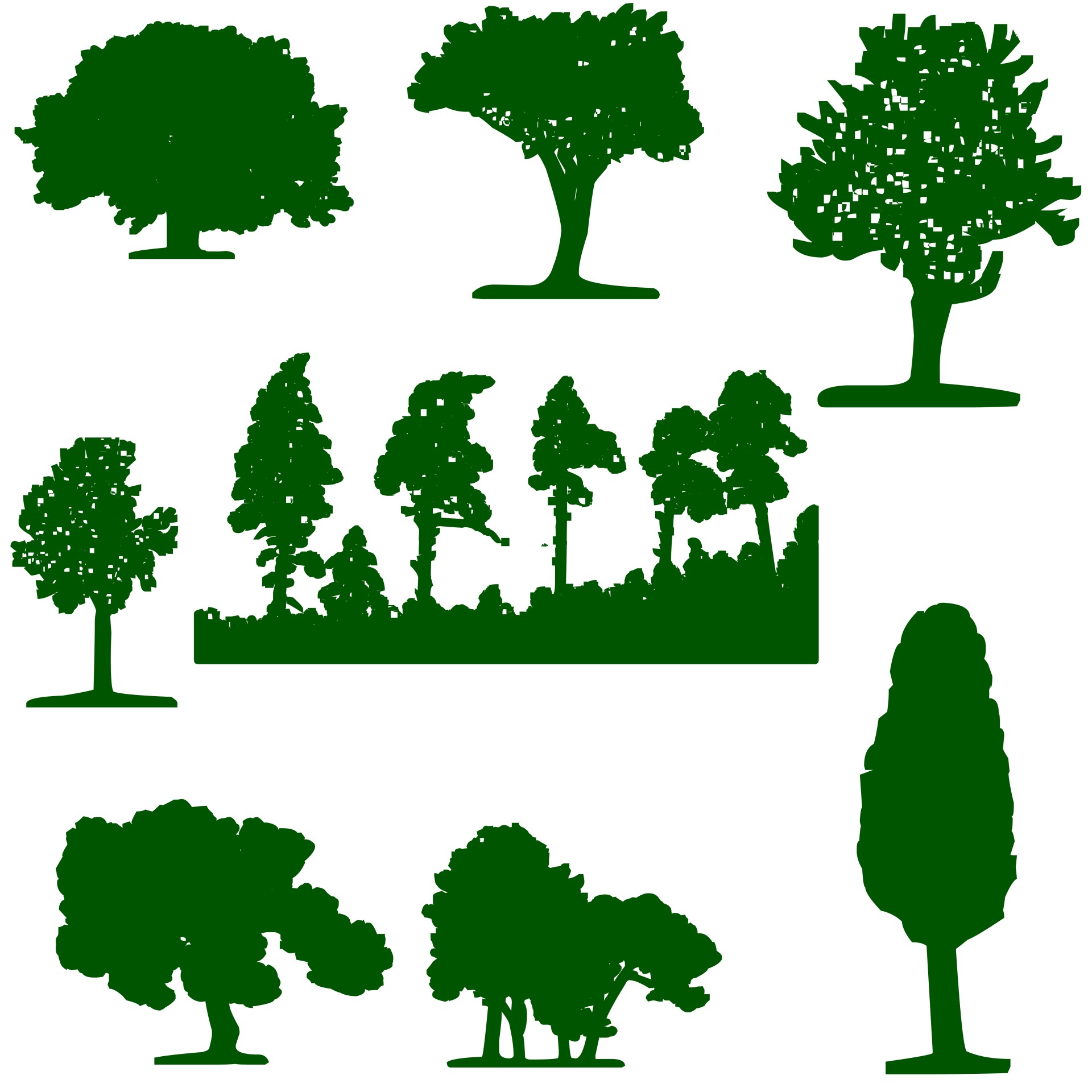 Medis,  Fonas,  Balta,  Sodas,  Rinkimas,  Eco,  Parkas,  Žemė,  Miškas,  Žalias
