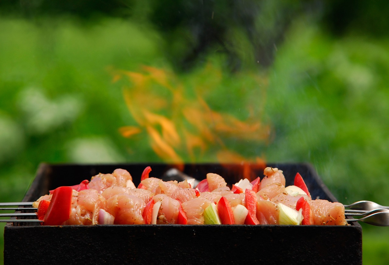 Grilis, Barbekiu, Ugnis, Mėsa, Naminiai Paukščiai, Kalakutiena, Svogūnai, Kebabas, Turkija, Pomidoras