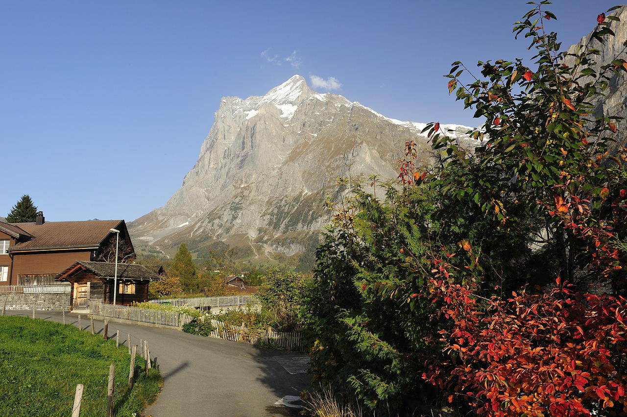Grindelwald, Kalnai, Sodyba, Ruduo, Sodybos, Postkartenmotiv, Mediniai Namai, Alpių, Aukščiausiojo Lygio Susitikimas, Kalnų Pievos