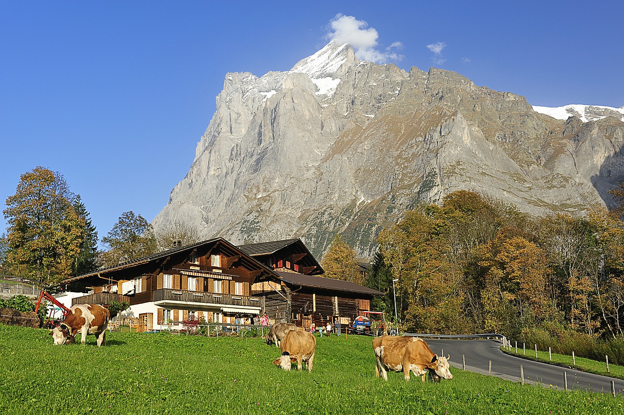 Grindelwald, Sodyba, Kalnų Žygiai, Ruduo, Postkartenmotiv, Mediniai Namai, Alpių, Aukščiausiojo Lygio Susitikimas, Kalnai, Kalnų Pievos