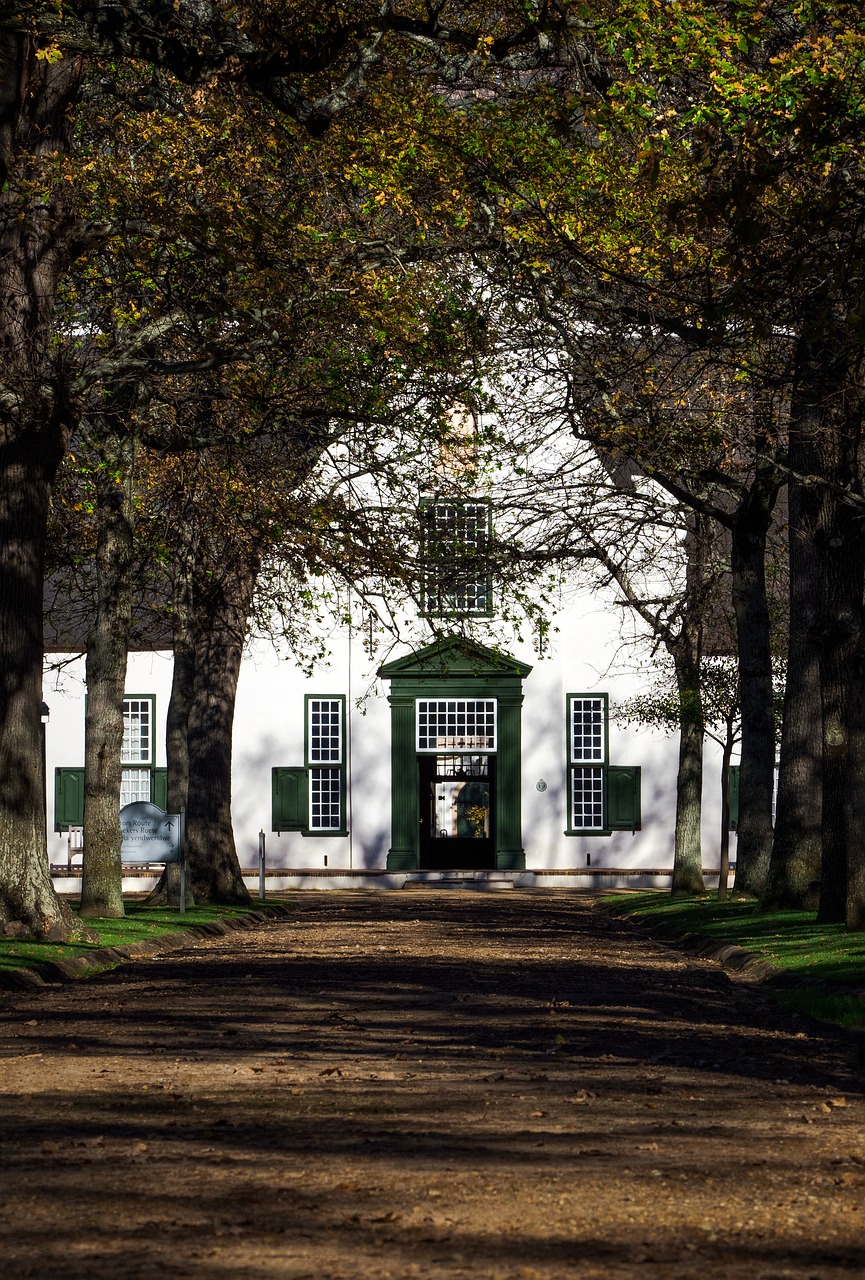 Groot Constantia,  Wine Estate,  Cape Olandų Sodyba,  Namas,  Medis,  Parkas,  Ruduo,  Architektūra,  Metai,  Namai
