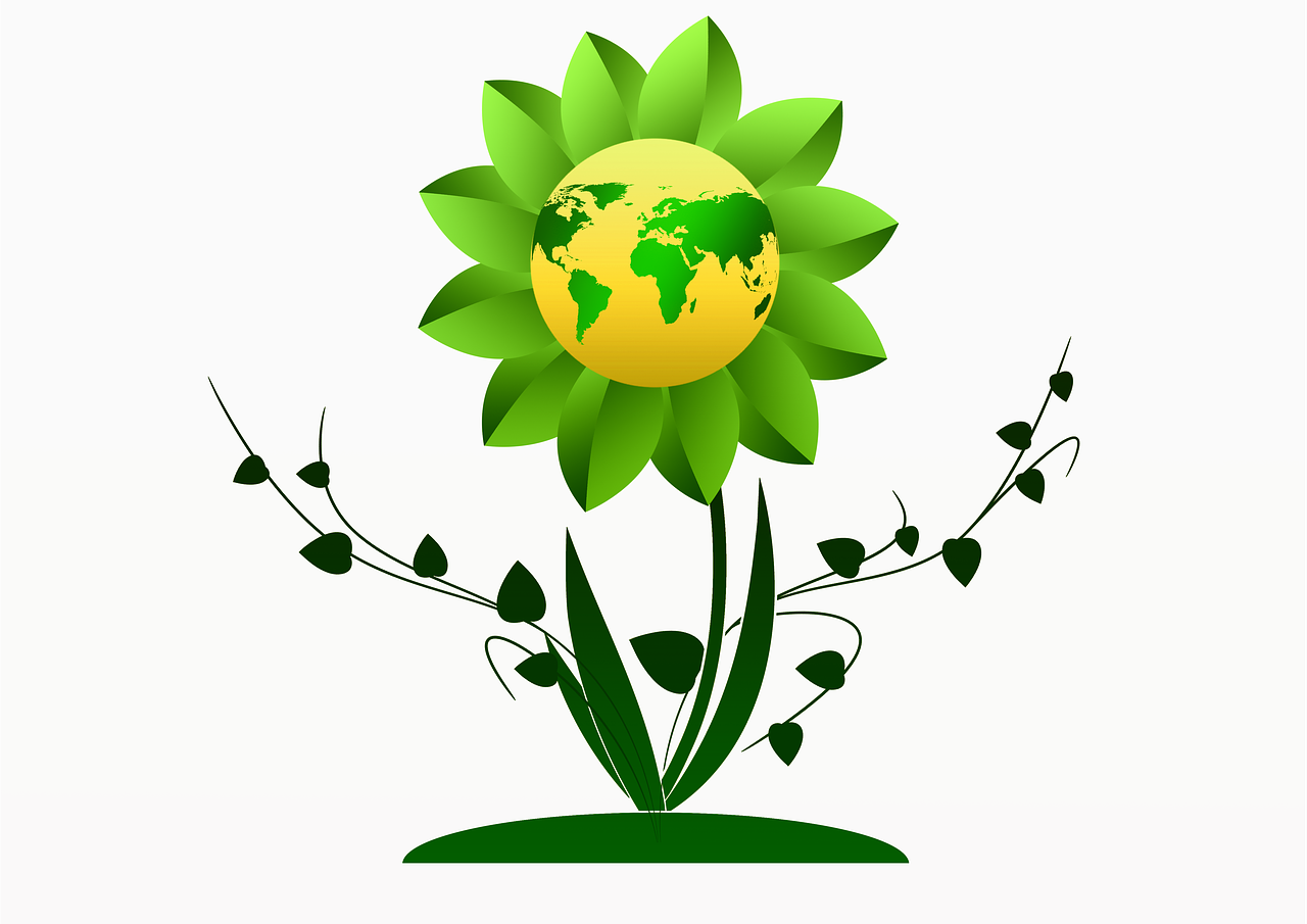 Augimas, Gėlė, Žemė, Žemynai, Pasaulis, Visuotinis, Globalizacija, Augalas, Rank, Alpinistas
