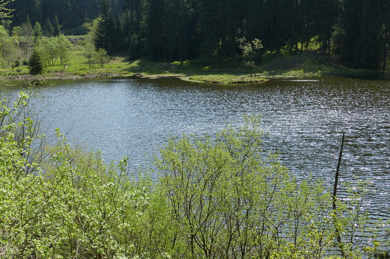 Grumbach Tvenkinys, Ežeras, Vanduo, Miškas, Gamta, Kraštovaizdis, Nemokamos Nuotraukos,  Nemokama Licenzija