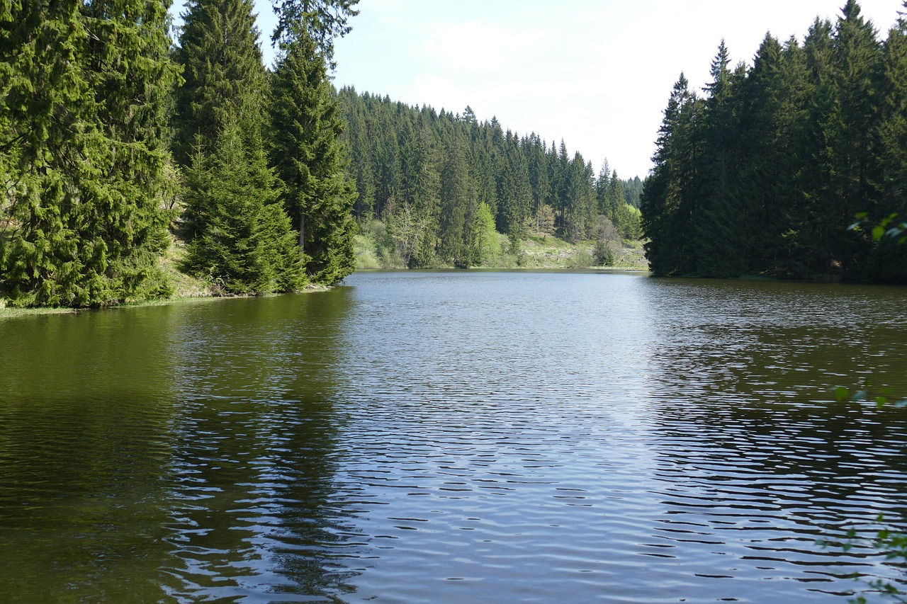 Grumbach Tvenkinys, Ežeras, Vanduo, Miškas, Gamta, Kraštovaizdis, Veidrodis, Atsigavimas, Nemokamos Nuotraukos,  Nemokama Licenzija