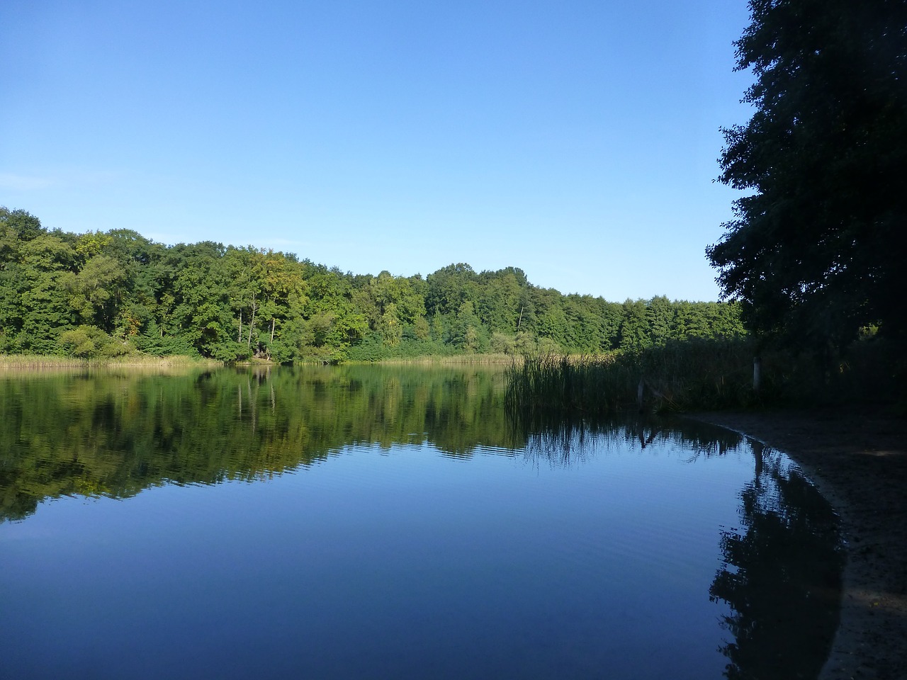 Grunewald, Ežeras, Gamta, Nemokamos Nuotraukos,  Nemokama Licenzija