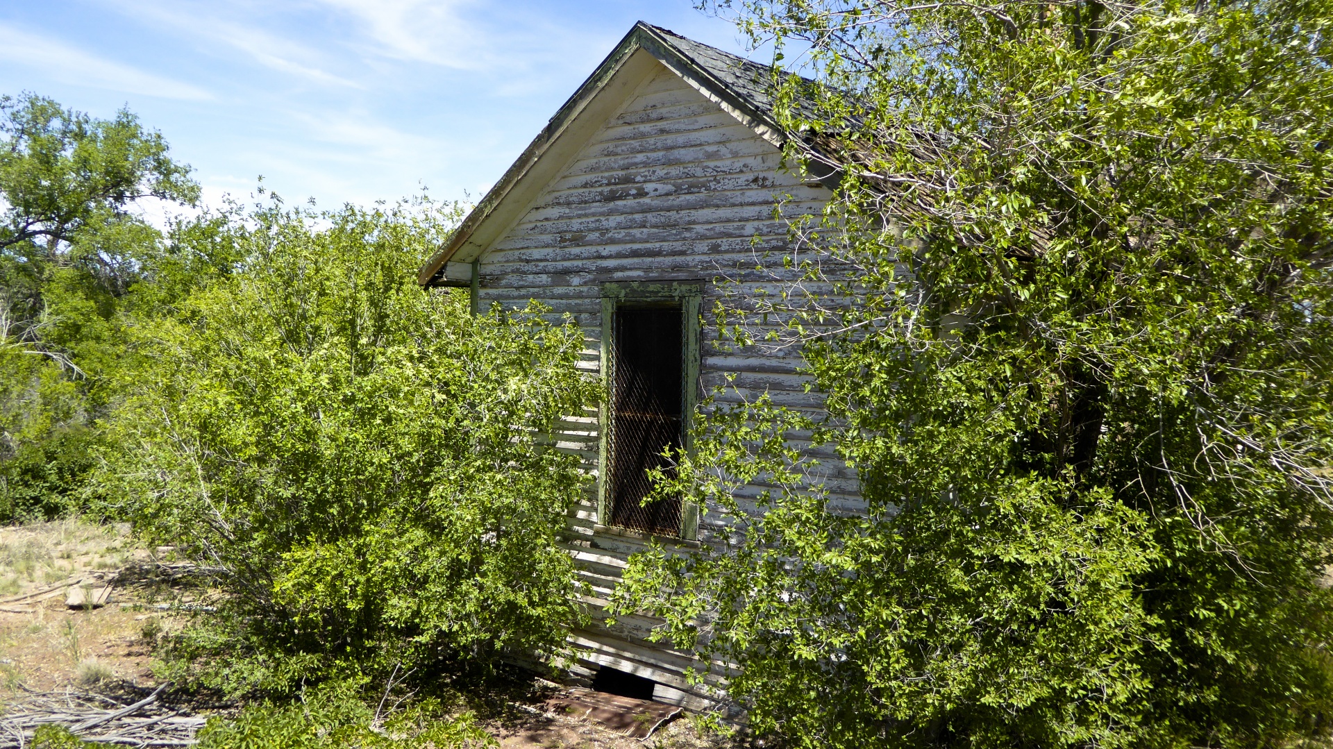 Grunge,  Shack,  Kaimas,  Maršrutas & Nbsp,  66,  Paliktas,  Balta,  Namas,  Žalias,  Architektūra