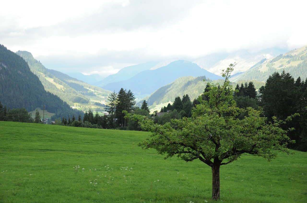 Gstaad,  Kalnas,  Šveicarija,  Kraštovaizdis,  Vasara, Nemokamos Nuotraukos,  Nemokama Licenzija