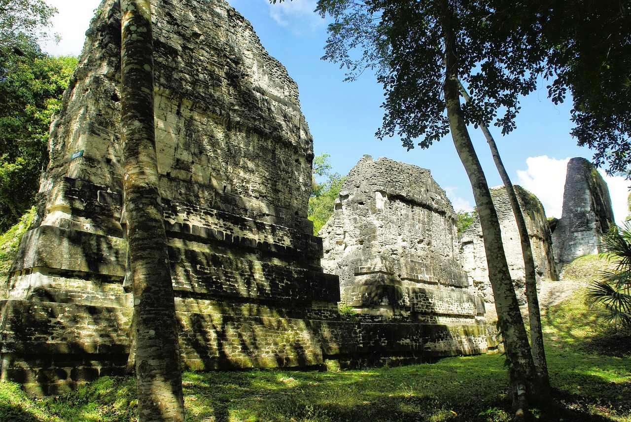 Gvatemala, Tika, Petén, Maya, Griuvėsiai, Civilizacija, Columbian, Piramidė, Atogrąžų Miškai, Nemokamos Nuotraukos