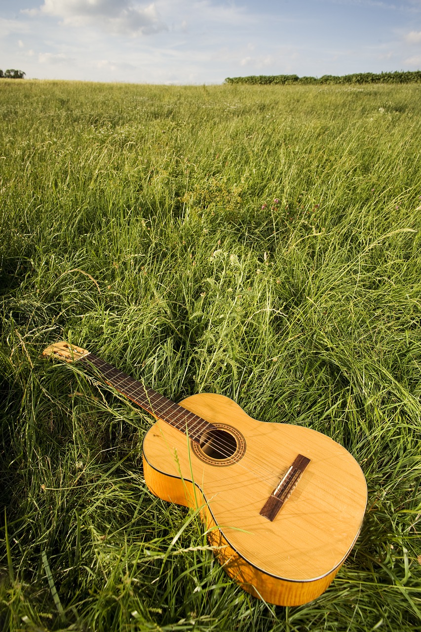 Gitara, Klasikinė Gitara, Muzikinis Instrumentas, Gitaristas, Klasikinis, Instrumentas, Gitaristas, Muzika, Žaisti, Groti Gitara