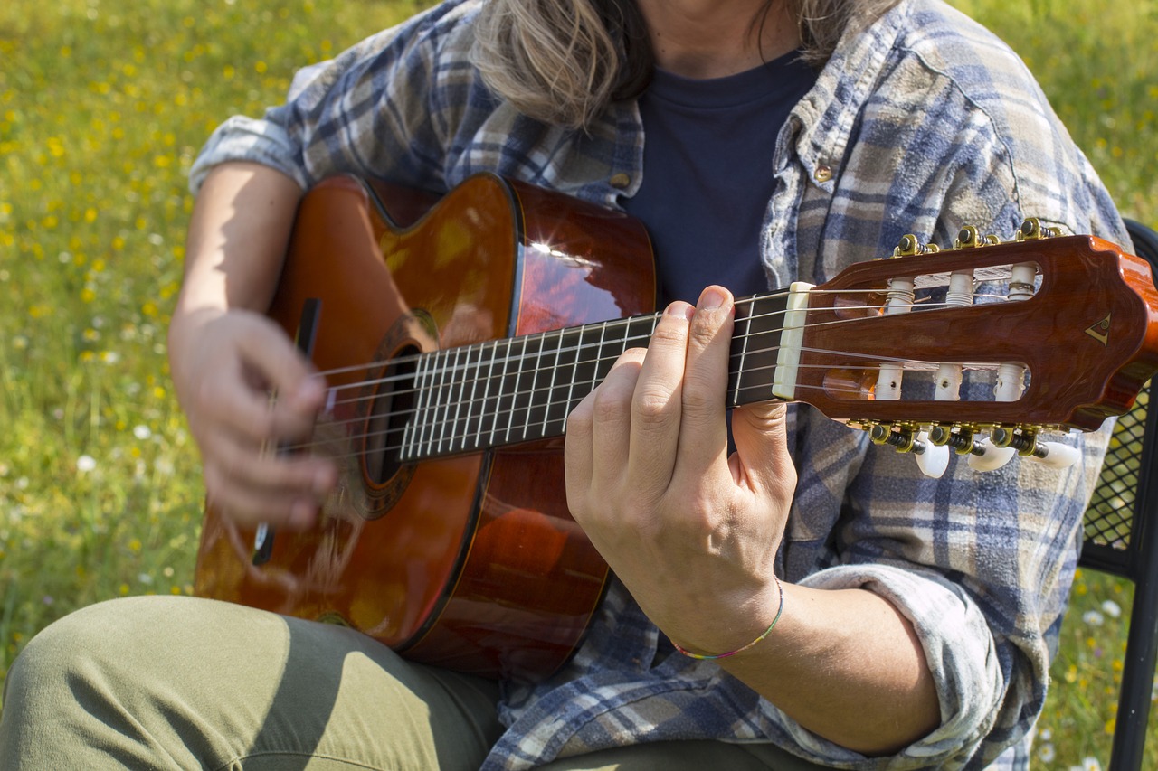 Gitara, Muzika, Gitaristas, Muzikantas, Stygos, Susitarimas, Šventė, Folkloras, Nemokamos Nuotraukos,  Nemokama Licenzija