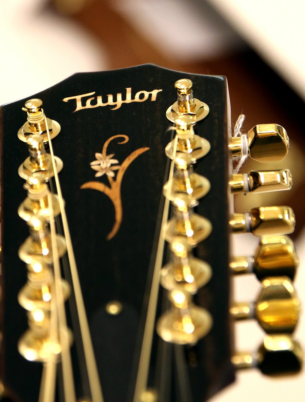 Gitara, Akustinė Gitara, Stygos, Taylor, 12 Eilučių, Gitaros Galva, Akustine Sistema, Styginis Instrumentas, Medinė Gitara, Muzikinis Instrumentas