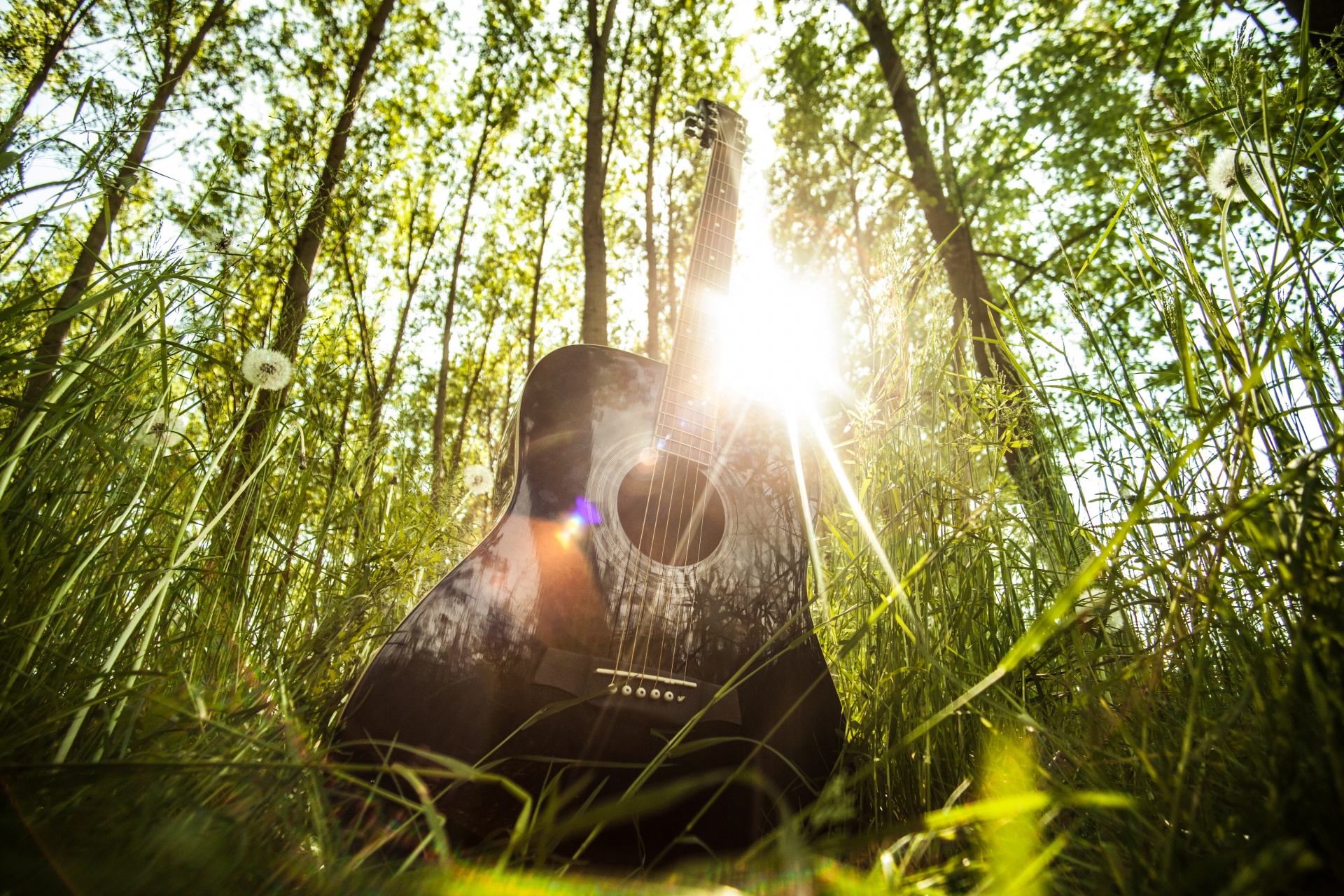 Gitara,  Muzika,  Miškas,  Žolė,  Saulė,  Šviesa,  Saulė Ir Nbsp,  Spinduliai,  Medžiai,  Lauke