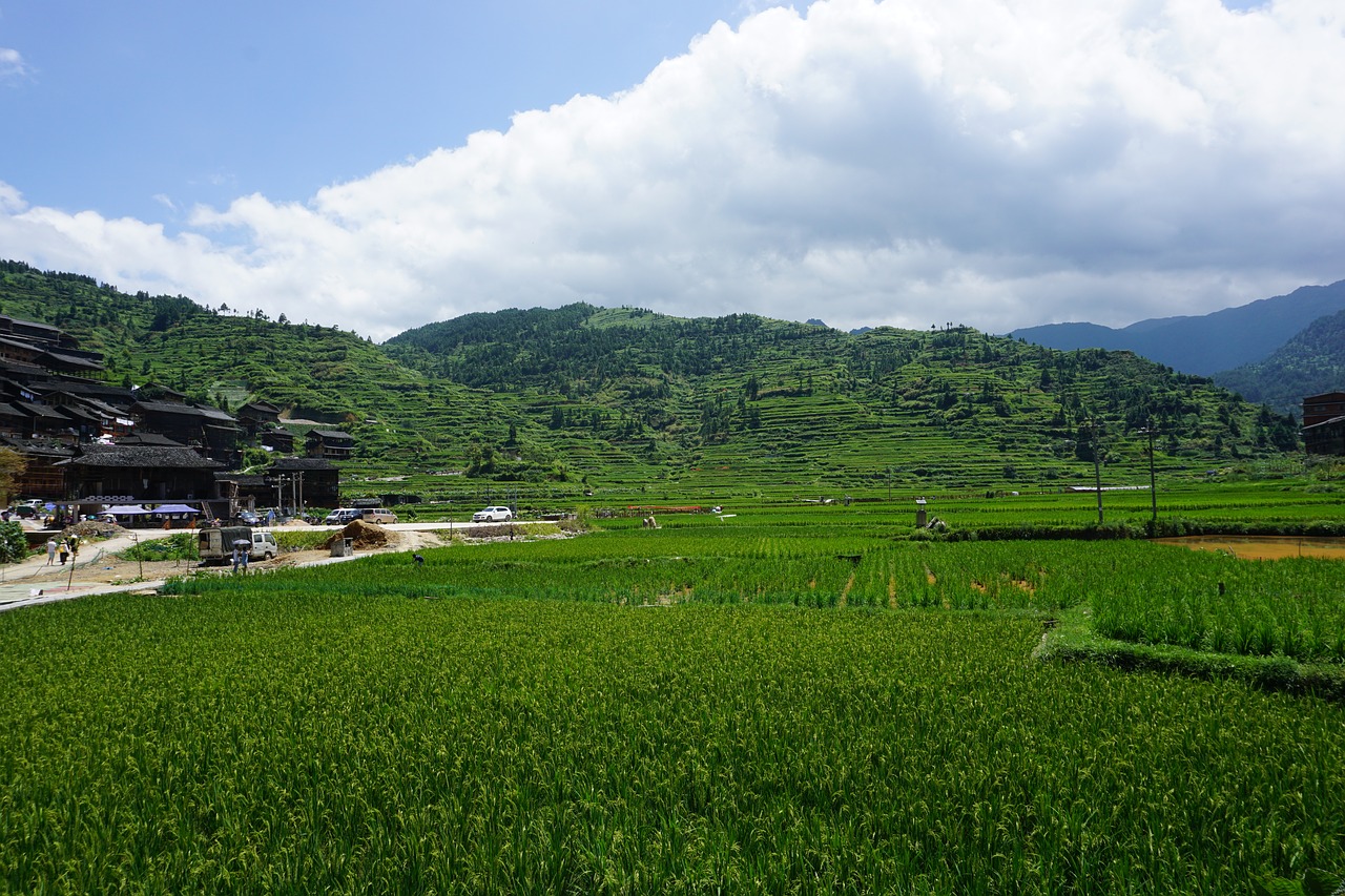 Guizhou, Xijiang, Kraštovaizdis, Nemokamos Nuotraukos,  Nemokama Licenzija