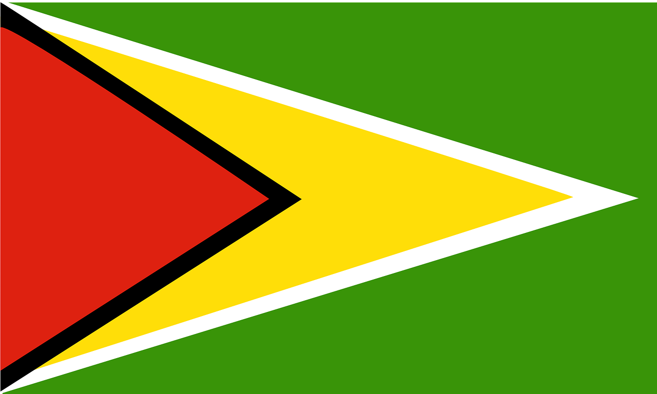 Guyana, Vėliava, Šalis, Simbolis, Tauta, Ženklas, Pietų Amerika, Nemokama Vektorinė Grafika, Nemokamos Nuotraukos,  Nemokama Licenzija