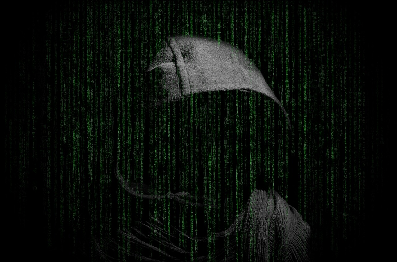 Hakeris,  Įsilaužimo,  Kompiuteris,  Saugumas,  Internetas,  Virusas,  Nusikaltimas,  Elektroniniais Nusikaltimais,  Elektroniniais Nusikaltimais,  Baudžiamosios