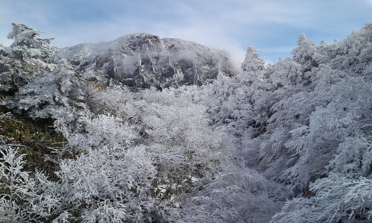 Kalno Slėnis Ir Sniego Nambjeok, Nambyeok Sniego Dengtas Mt, Sniego Šventė Mt, Nemokamos Nuotraukos,  Nemokama Licenzija