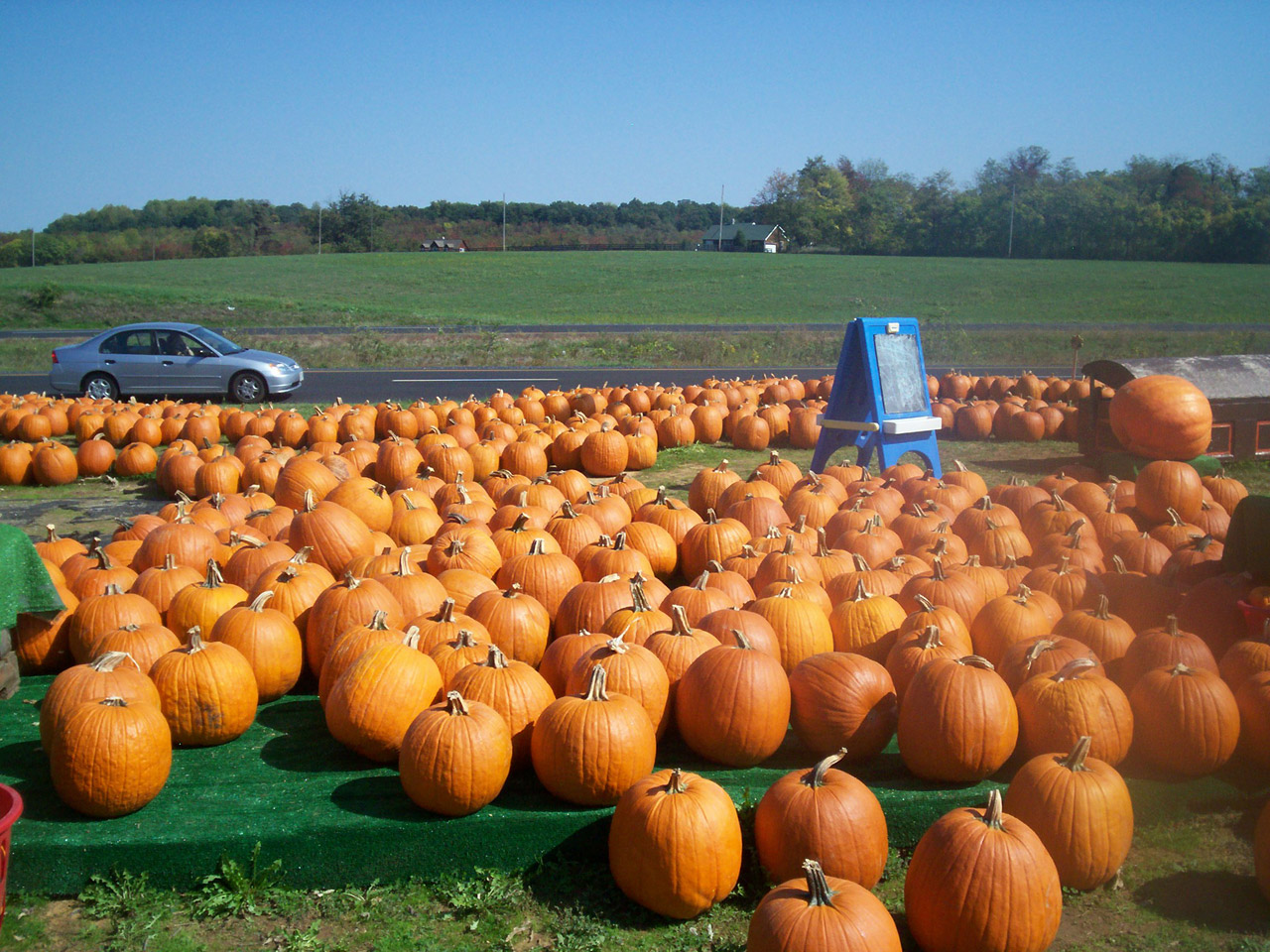 Halloween,  Halloween, Nemokamos Nuotraukos,  Nemokama Licenzija