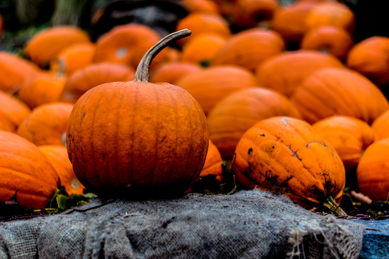 Halloween, Ruduo, Moliūgas, Nemokamos Nuotraukos,  Nemokama Licenzija