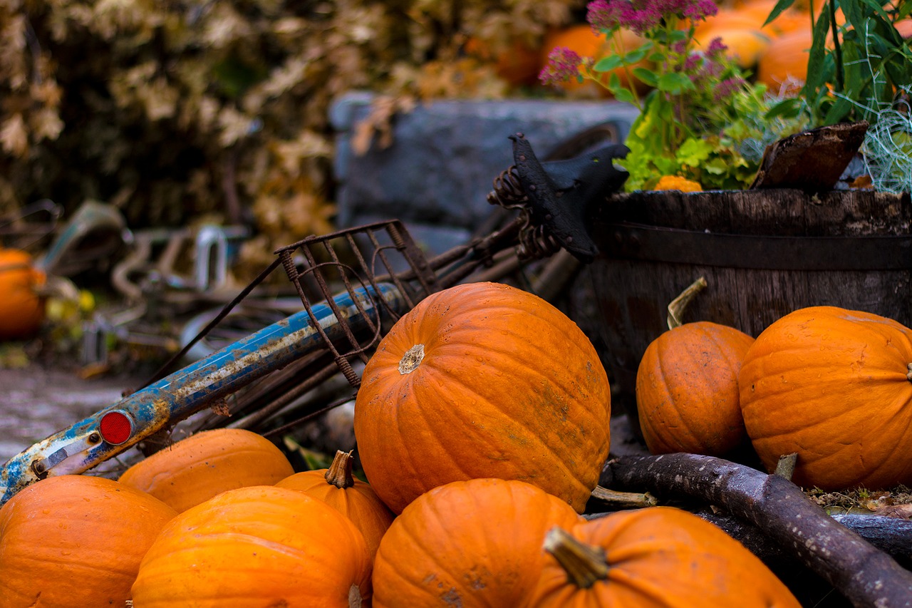 Halloween, Ruduo, Moliūgas, Nemokamos Nuotraukos,  Nemokama Licenzija