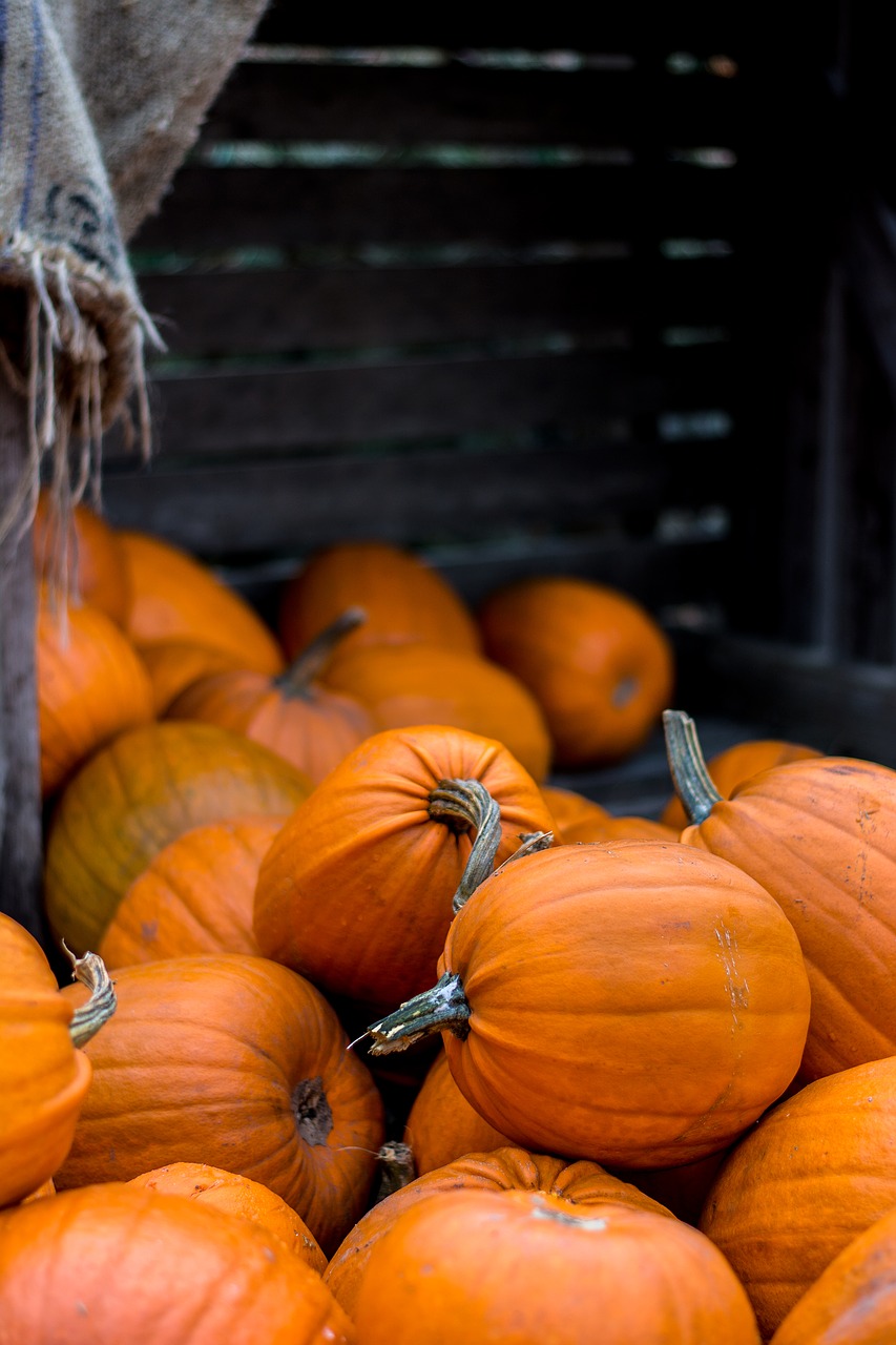 Halloween, Ruduo, Moliūgas, Nemokamos Nuotraukos,  Nemokama Licenzija