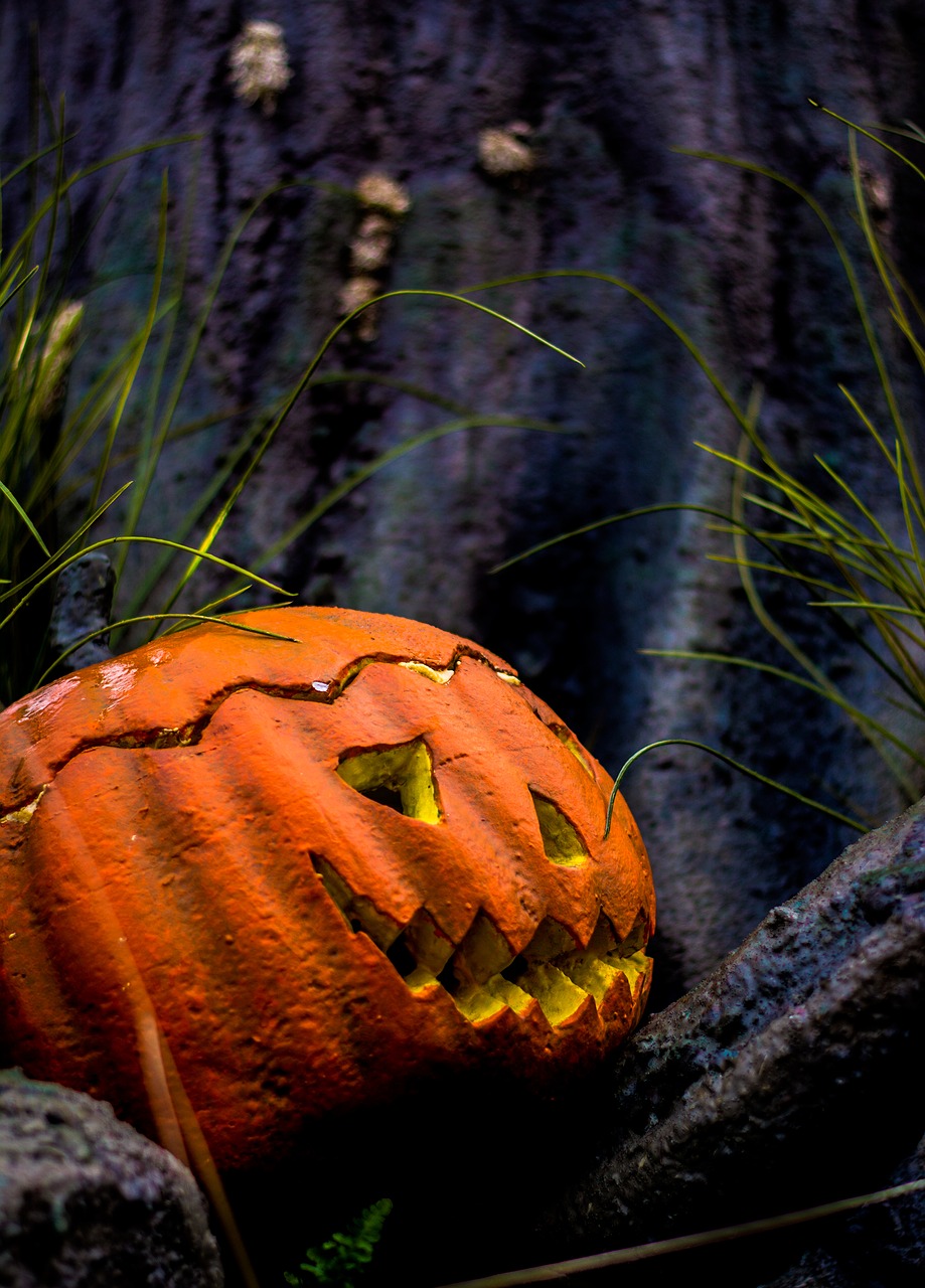 Halloween, Ruduo, Moliūgas, Nemokamos Nuotraukos,  Nemokama Licenzija