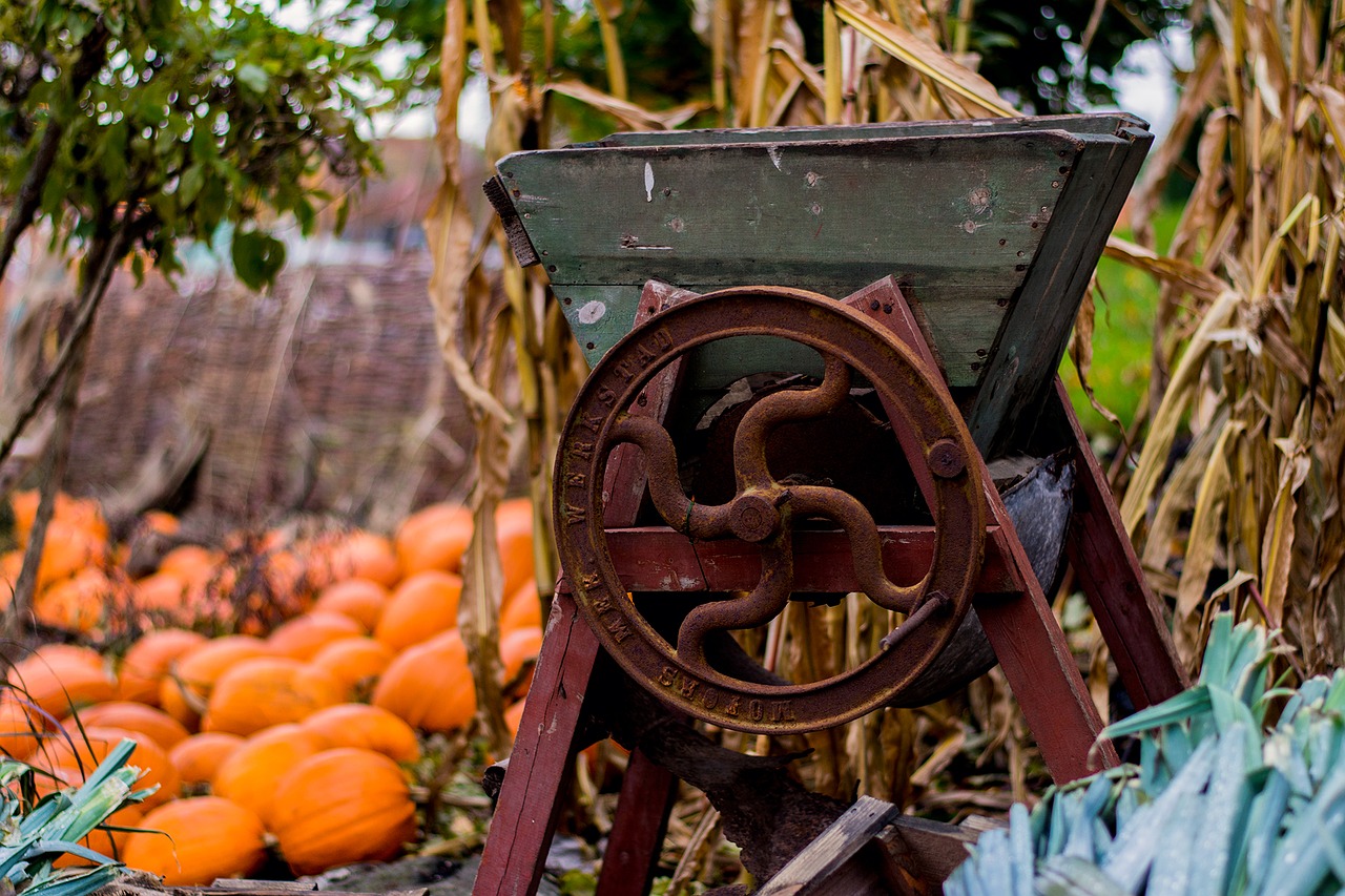 Halloween, Ruduo, Moliūgas, Nemokamos Nuotraukos,  Nemokama Licenzija