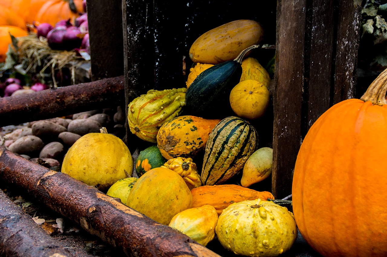 Halloween, Ruduo, Moliūgas, Nemokamos Nuotraukos,  Nemokama Licenzija