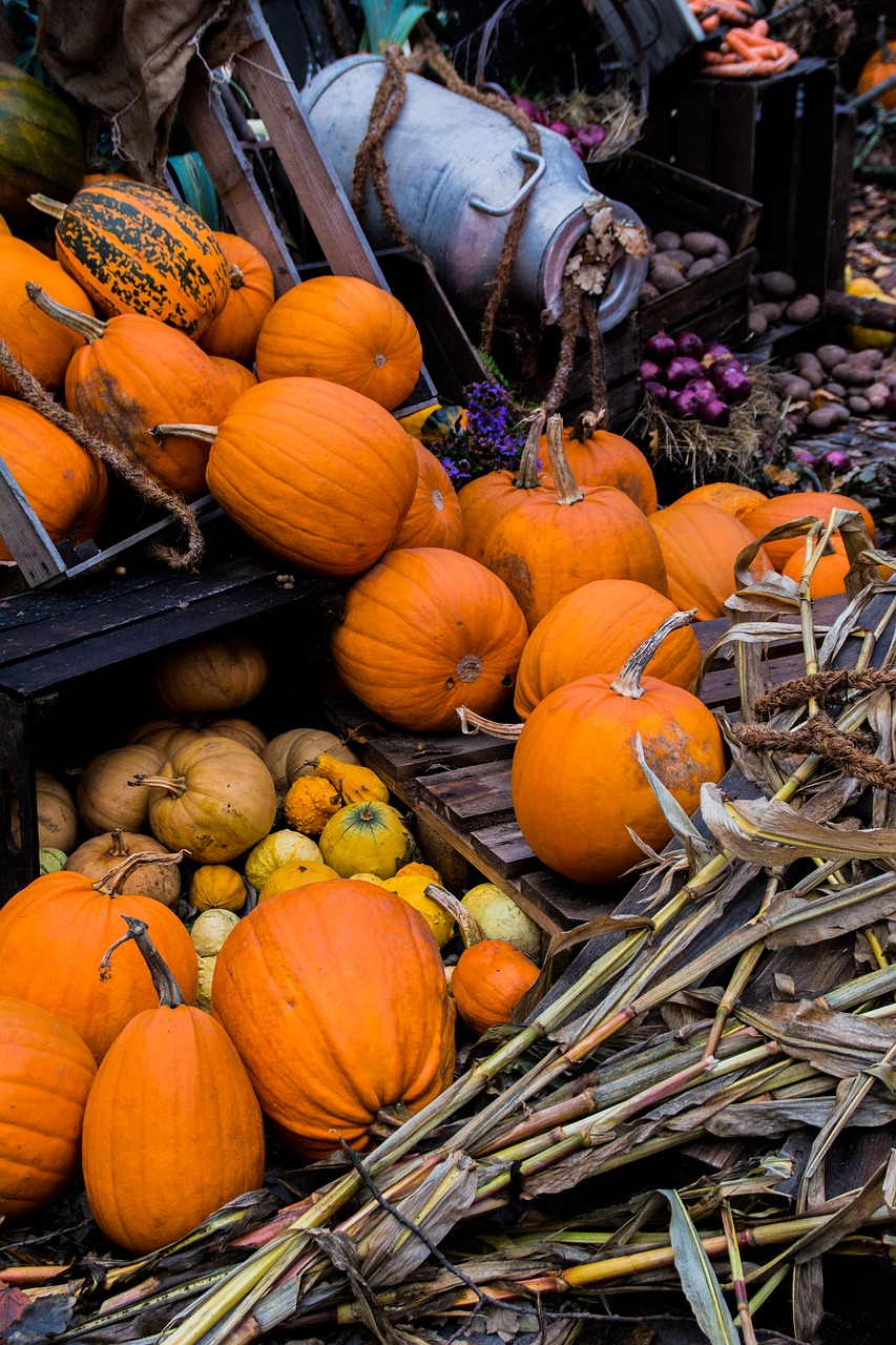 Halloween, Ruduo, Moliūgas, Nemokamos Nuotraukos,  Nemokama Licenzija