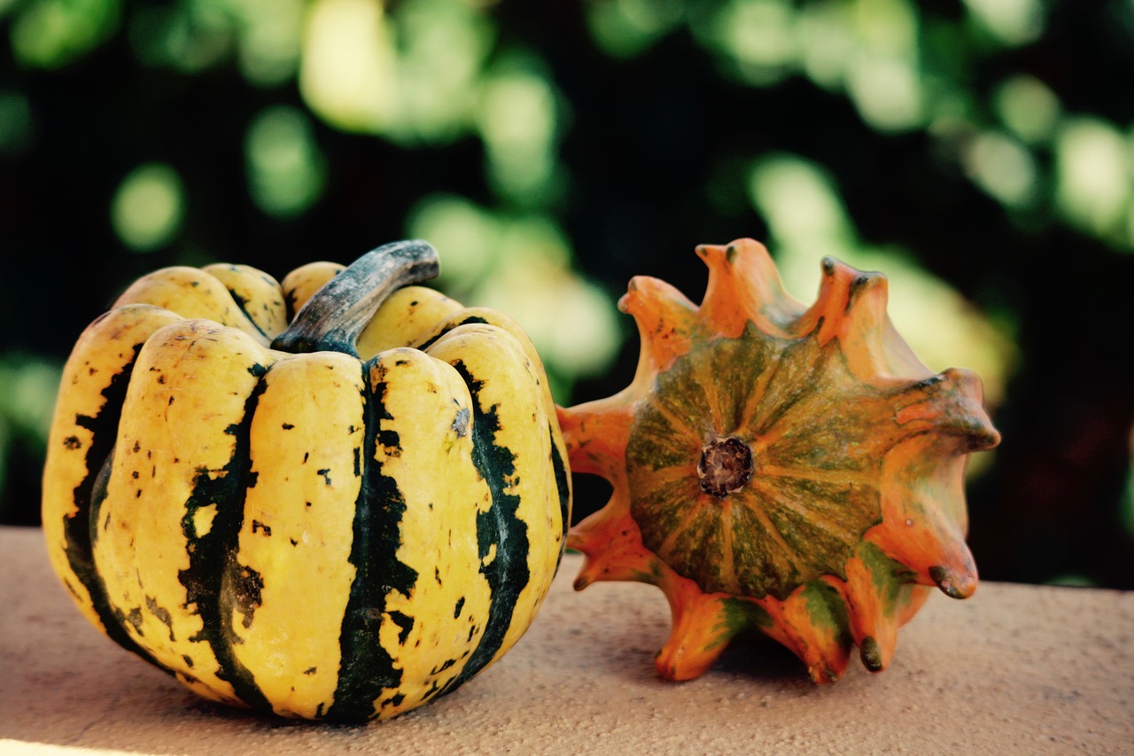 Halloween, Helovyno Vakarėlis, Moliūgai, Turgus, Spalvos, Ekologiškas, Maistas, Daržovės, Linksma, Maisto Produktai