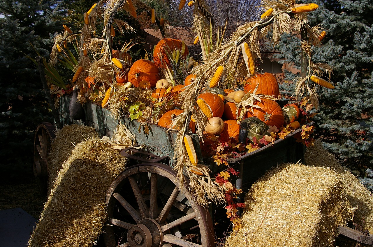 Halloween, Santa Fe, Moliūgai, Oranžinė, Ruduo, Rudens Spalvos, Vagonas, Krepšelis, Ratas, Šiaudai