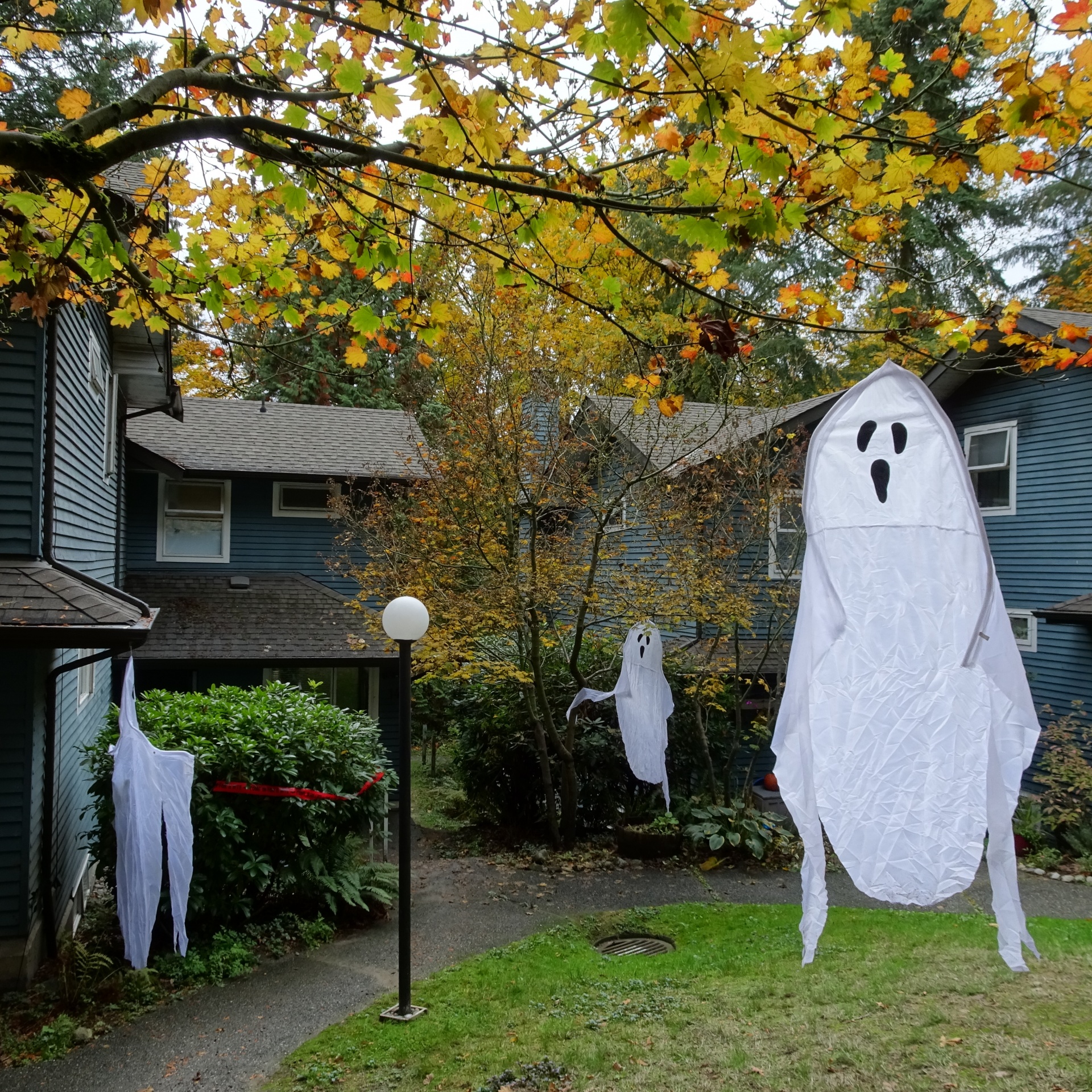 Halloween,  Vaiduoklis,  Iš Arti,  Nuotrauka,  Parkas,  Baugus,  Medžiai,  Augalai,  Tradicija,  Iš Arti