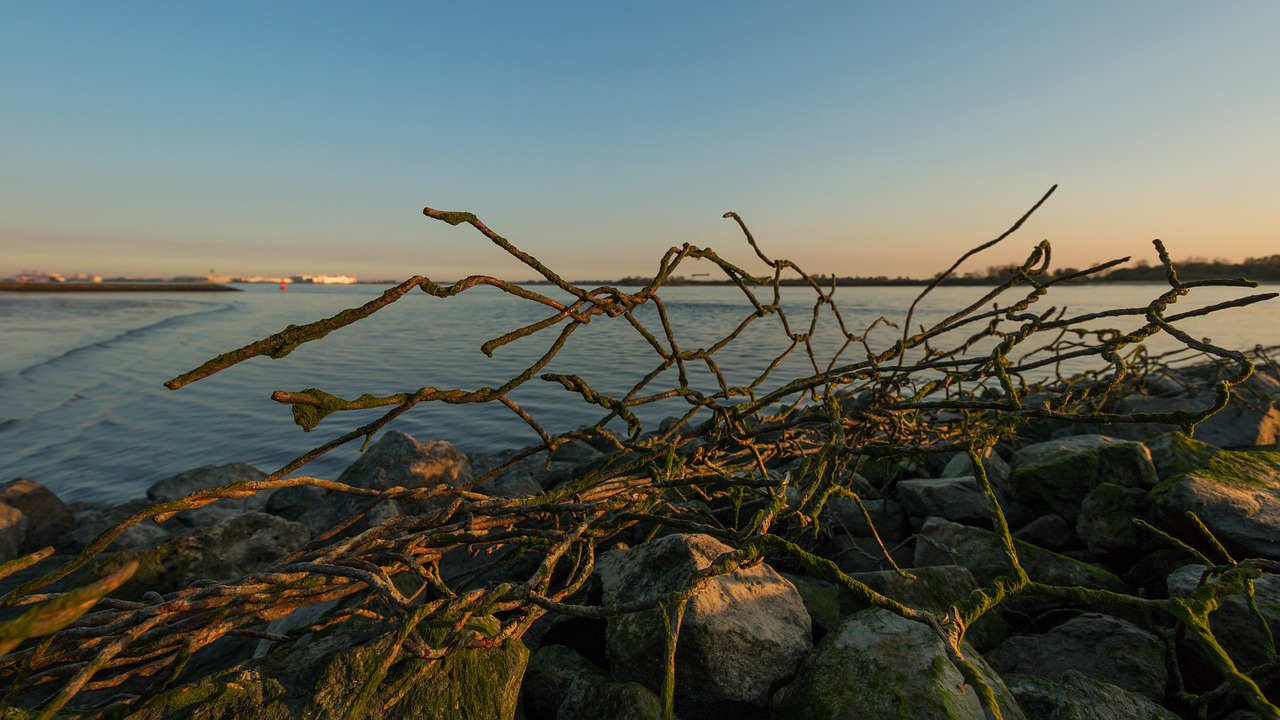 Hamburgas, Blankenese, Elbe, Elbe Paplūdimys, Vanduo, Upė, Uostas, Vokietija, Jūra, Dangus