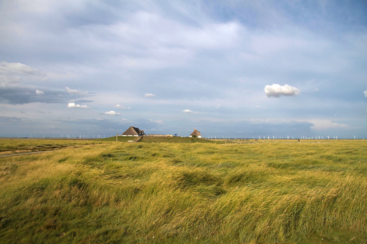 Hamburger Hallig, Wadden Jūra, Šiaurės Jūra, Druskos Pievos, Kranto, Hallig, Соломенные Namai, Nacionalinis Parkas, Nordfriesland, Nemokamos Nuotraukos