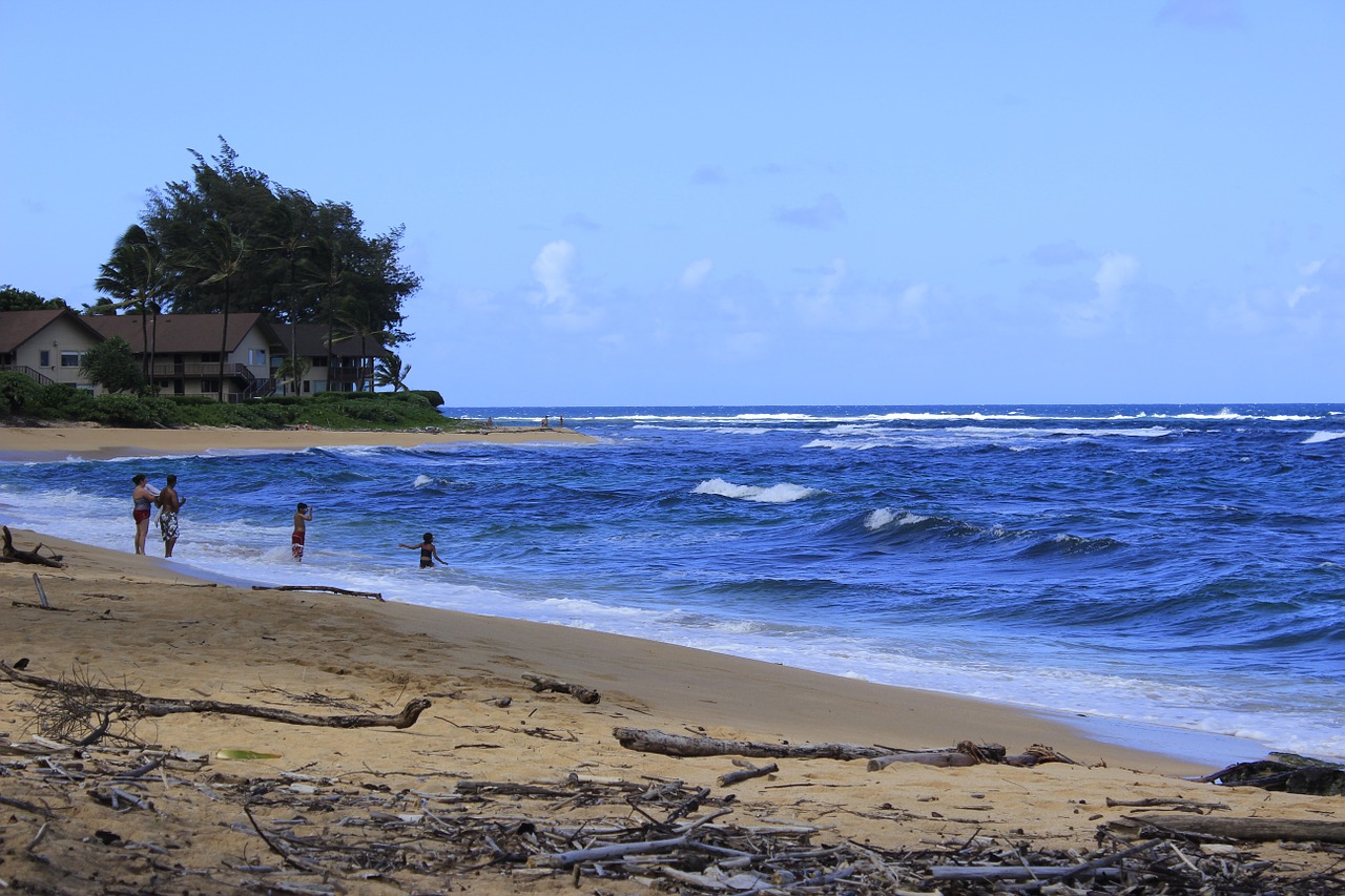 Hanalei, Kauai, Hawaii, Papludimys, Jūra, Vandenynas, Bangos, Nemokamos Nuotraukos,  Nemokama Licenzija