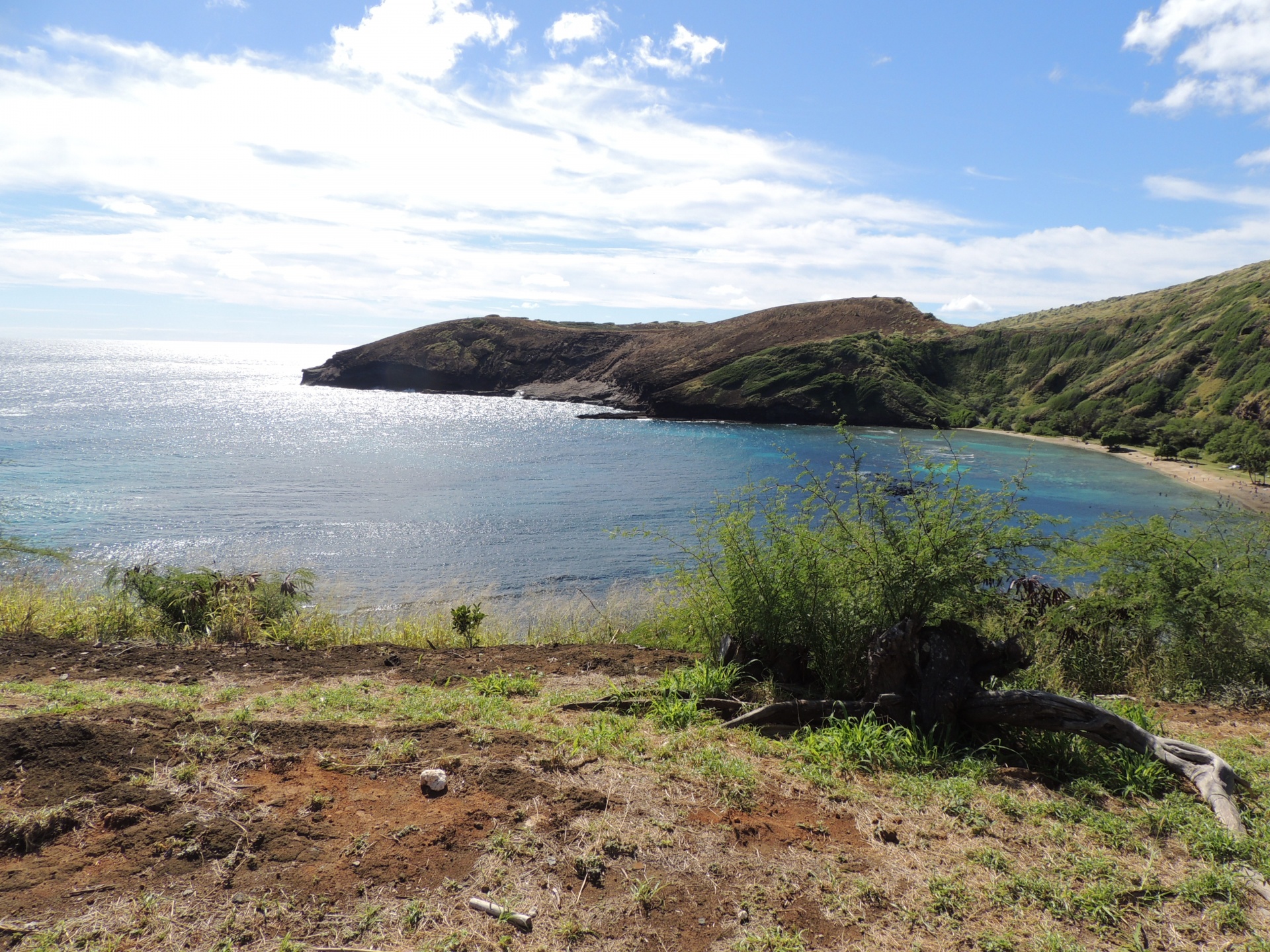 Hanauma,  Įlanka,  Hawaii,  Labas,  Papludimys,  Vandenynas,  Snorkelis,  Hanauma Įlanka, Nemokamos Nuotraukos,  Nemokama Licenzija