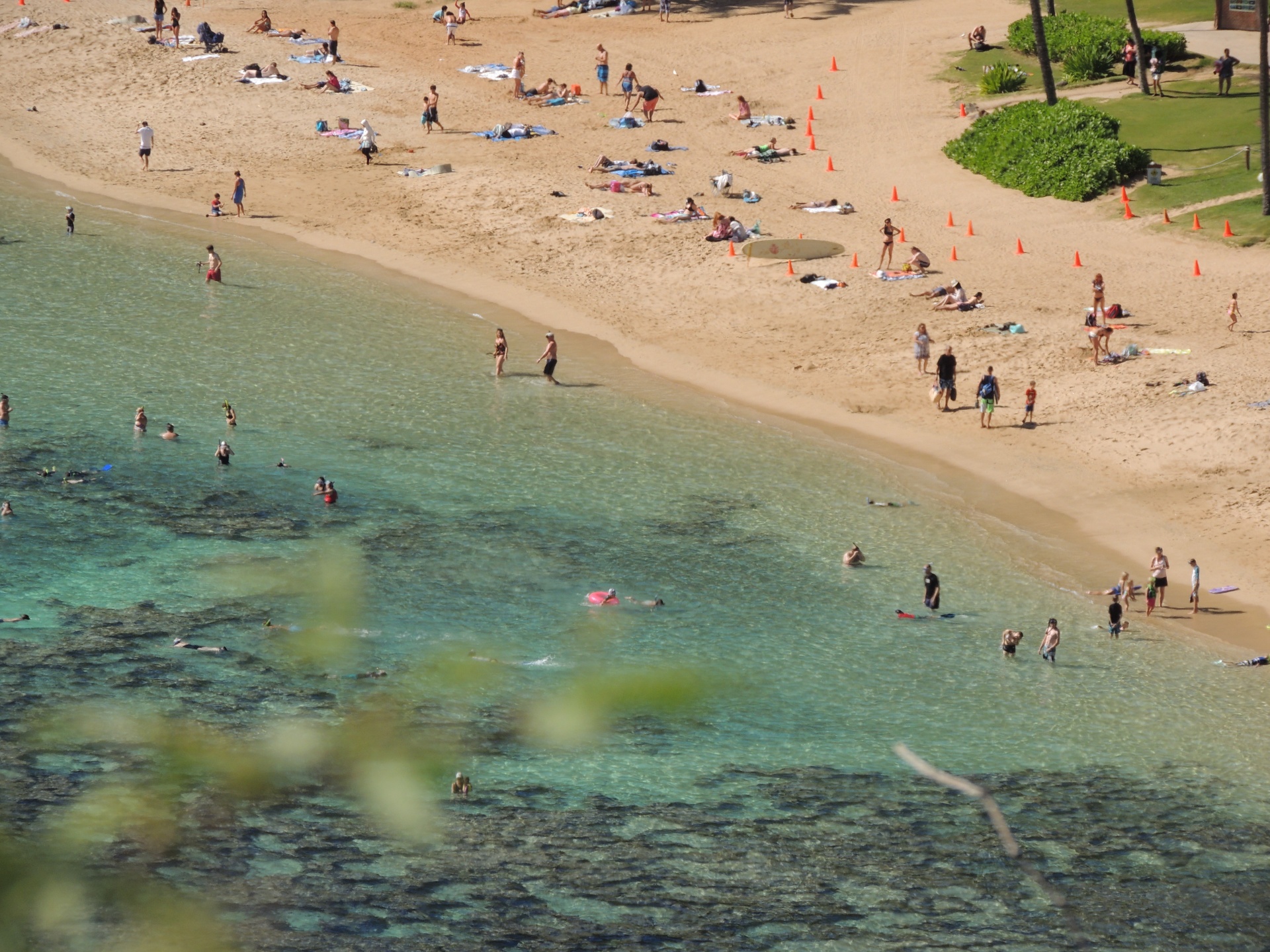 Hanauma,  Įlanka,  Hawaii,  Labas,  Papludimys,  Vandenynas,  Snorkelis,  Hanauma Įlanka, Nemokamos Nuotraukos,  Nemokama Licenzija