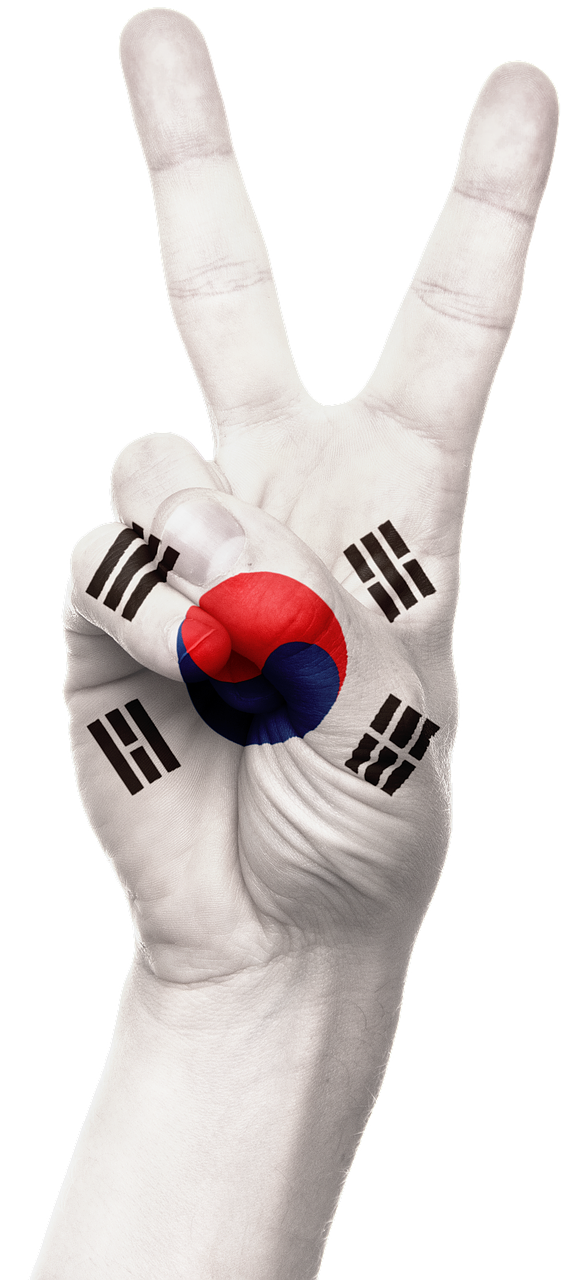 Ranka, Pietų Korėja, Vėliava, Nacionalinis, Pasididžiavimas, Patriotizmas, Patriotinis, Taika, Pergalė, Ženklas