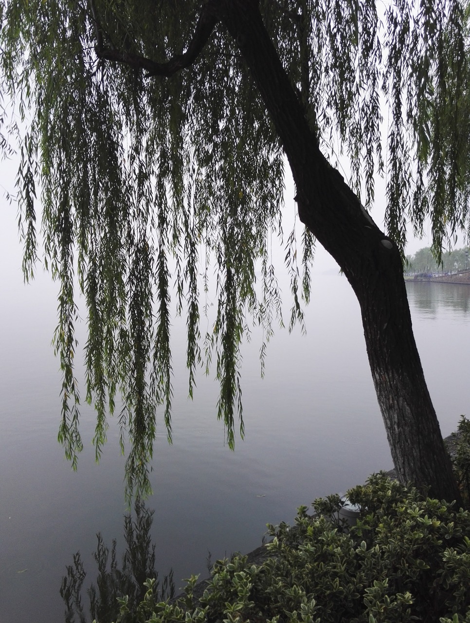 Hangzhou, Vakarinis Ežeras, Kraštovaizdis, Nemokamos Nuotraukos,  Nemokama Licenzija