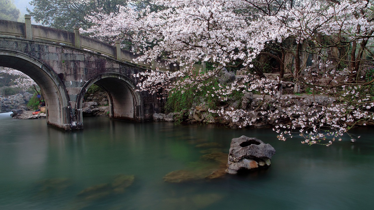 Hangzhou Vakarinis Ežeras, Princo Salos Parkas, Tiltai, Vyšnių Žiedas, Nemokamos Nuotraukos,  Nemokama Licenzija