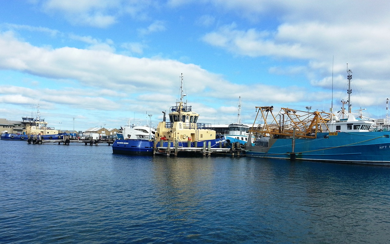 Uostas, Marina, Žvejybos Uostas, Buriavimas, Vanduo, Australia, Uosto Vaizdas, Fremantle, Valtys, Dokai