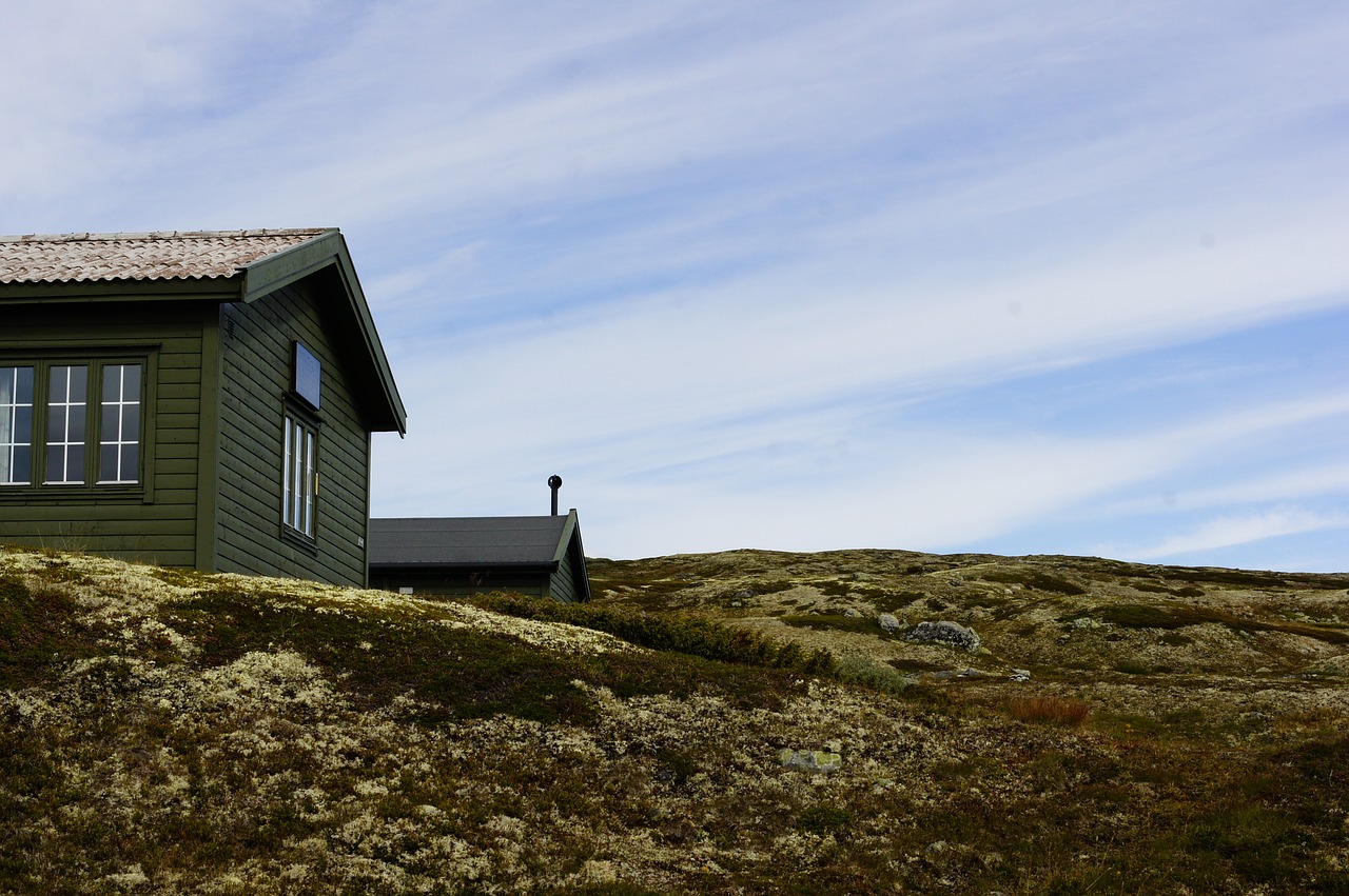 Hardangervidda Nacionalinis Parkas, Norvegija, Kalnas, Kelionė, Gamta, Hardangervidda, Skandinavija, Nacionalinis, Lauke, Parkas