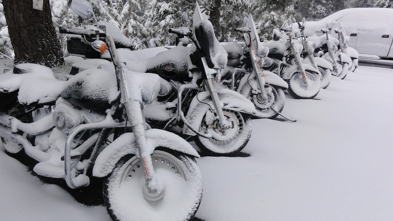 Harley Davidson, Motociklas, Sniegas, Snieguotas, Žiema, Prisnigo Į, Nemokamos Nuotraukos,  Nemokama Licenzija
