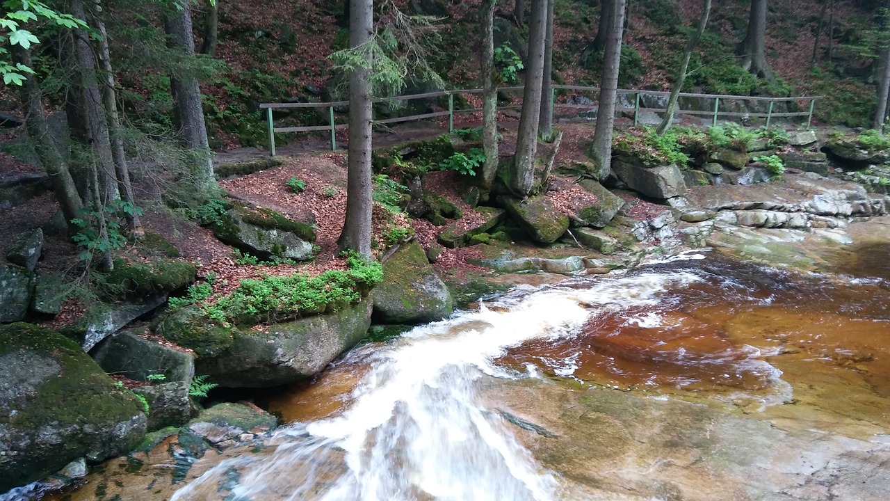 Harrachov, Miškas, Vanduo, Kelias, Gamta, Nemokamos Nuotraukos,  Nemokama Licenzija